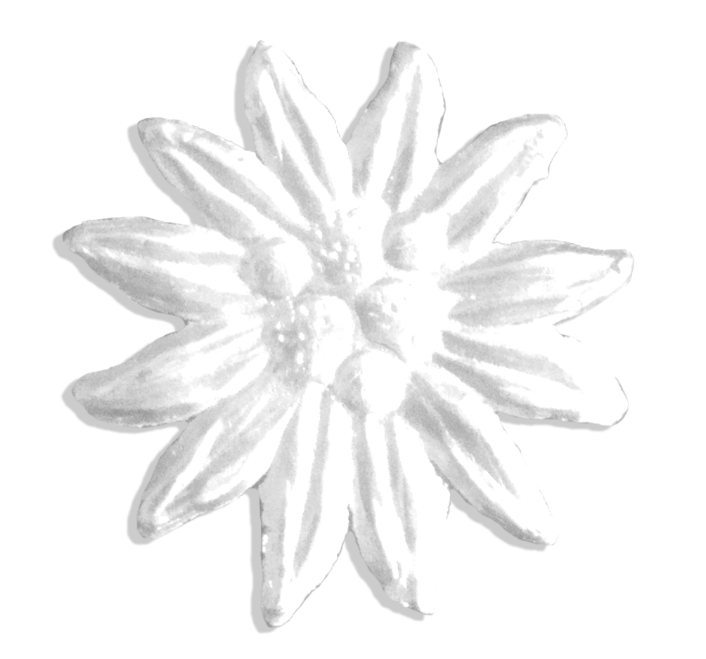 Edelweiss Set Of 20 pcs. made from Dresden foil paper
