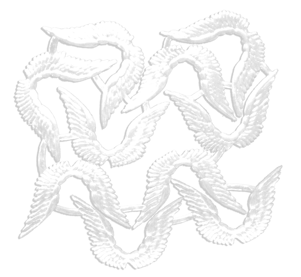 5067240101-Blatt_w