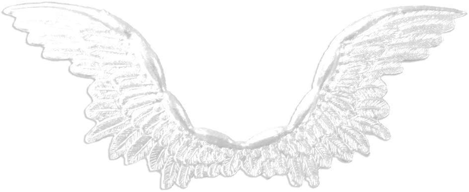 5067217061_w