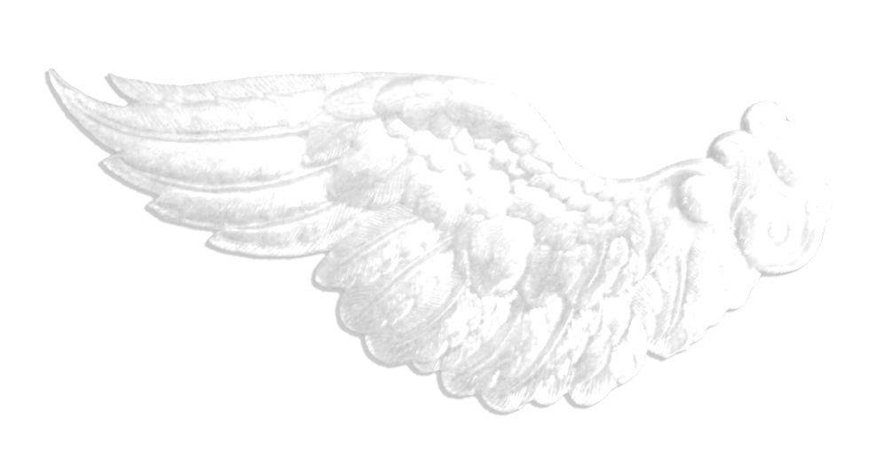 5068716011_w