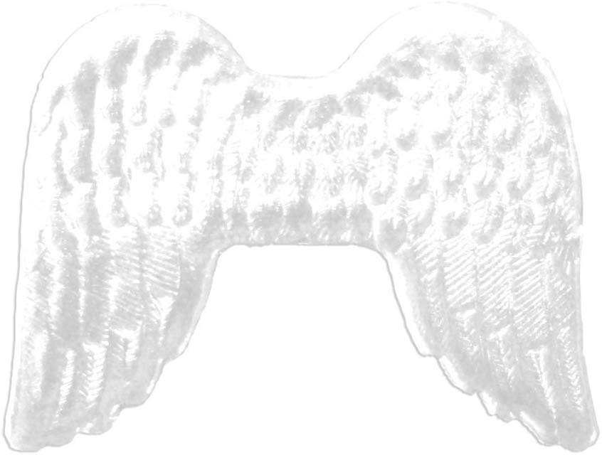 5067219201_w